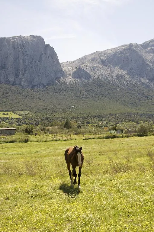 Agriturismo Guthiddai Oliena 0*,  Itália