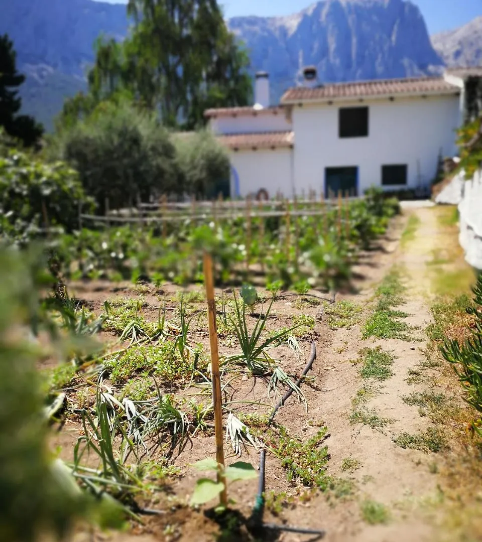 Alojamento de Turismo Rural Agriturismo Guthiddai Oliena Itália