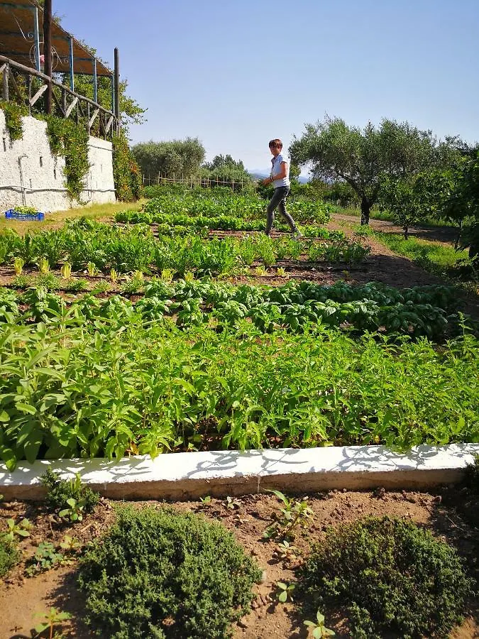 Alojamento de Turismo Rural Agriturismo Guthiddai Oliena
