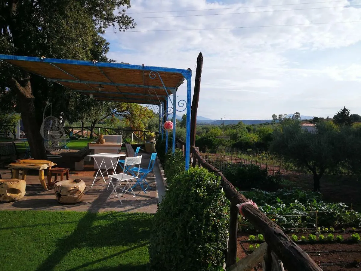 Agriturismo Guthiddai Oliena Alojamento de Turismo Rural