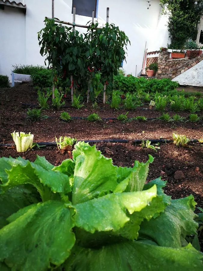 Agriturismo Guthiddai Oliena