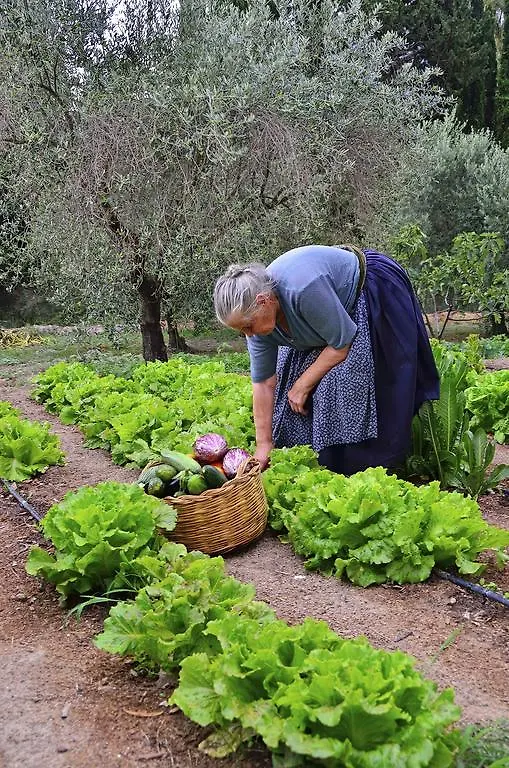Farma Agriturismo Guthiddai Oliena Itálie