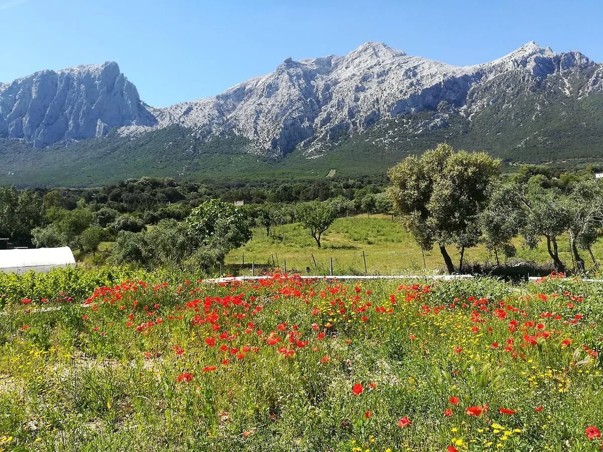 Agriturismo Guthiddai Oliena Itálie
